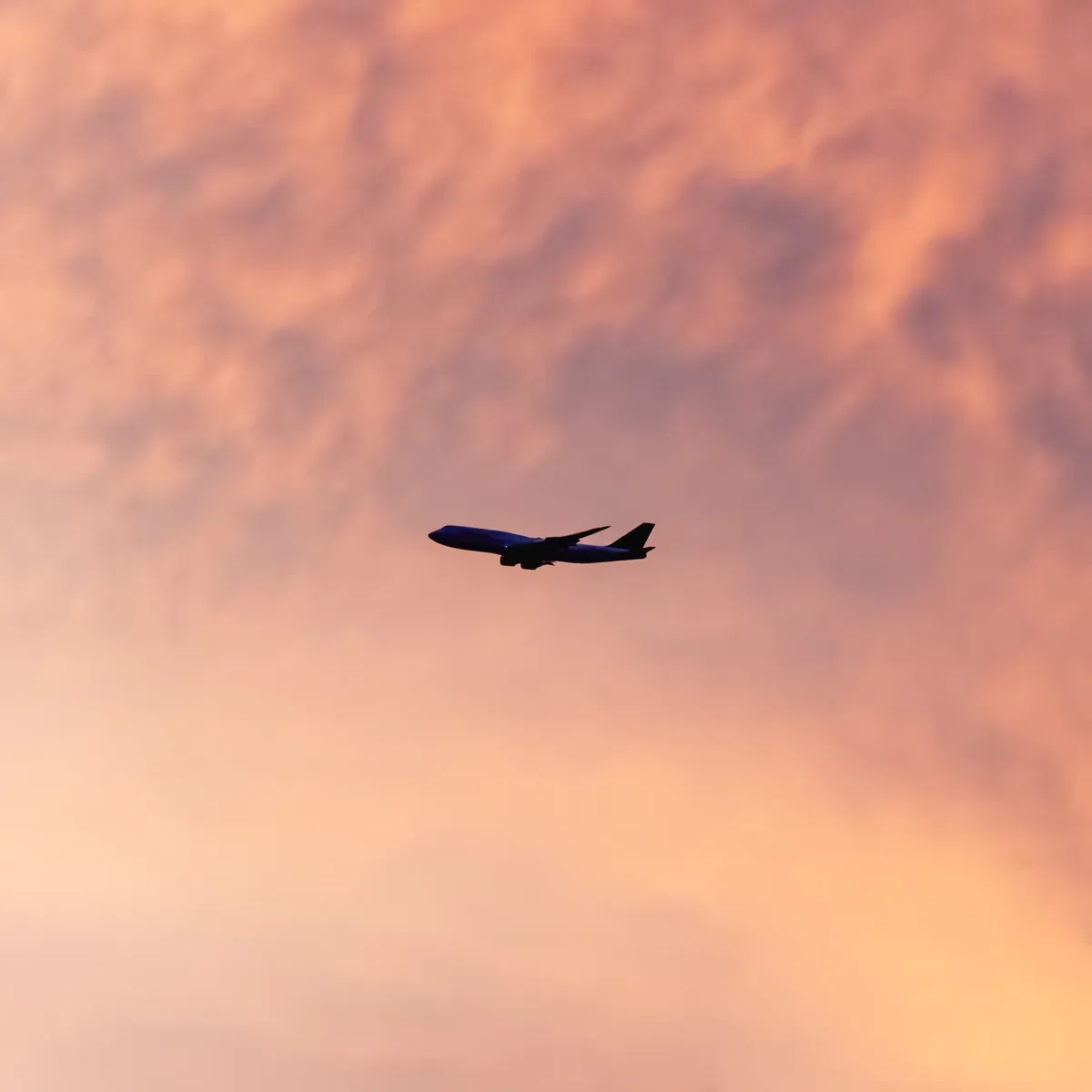 A Boeing 747 silhouetted against a pink and orange sunset sky, one of Hakan's photographs.